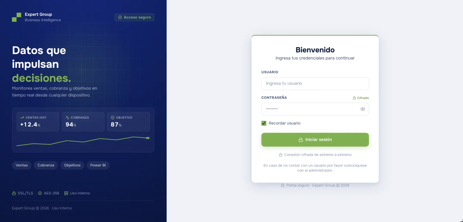 Imagen del proyecto Expert Group - BI